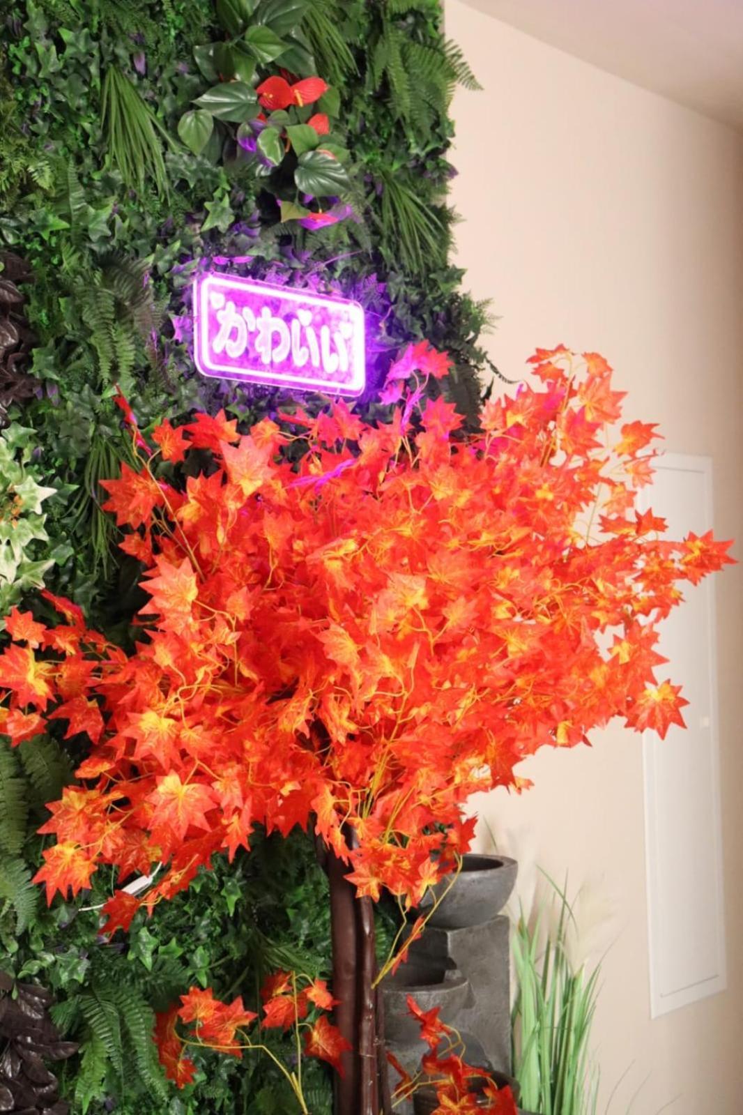 Loveroom Japon Avec Balneotherapie Toulon Eksteriør bilde
